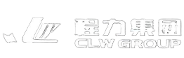 청리 전용 자동차